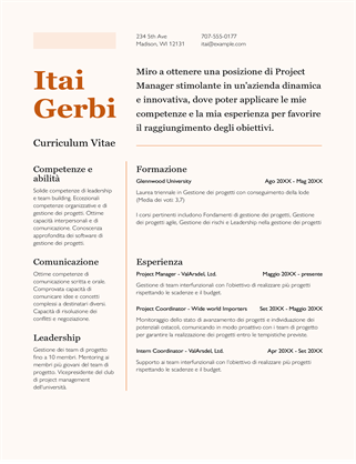 Cv Curriculum Vitae