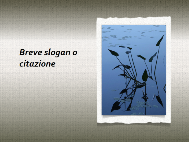 Immagine con bordo strappato e sfondo a trama Immagine con bordo strappato e sfondo a trama