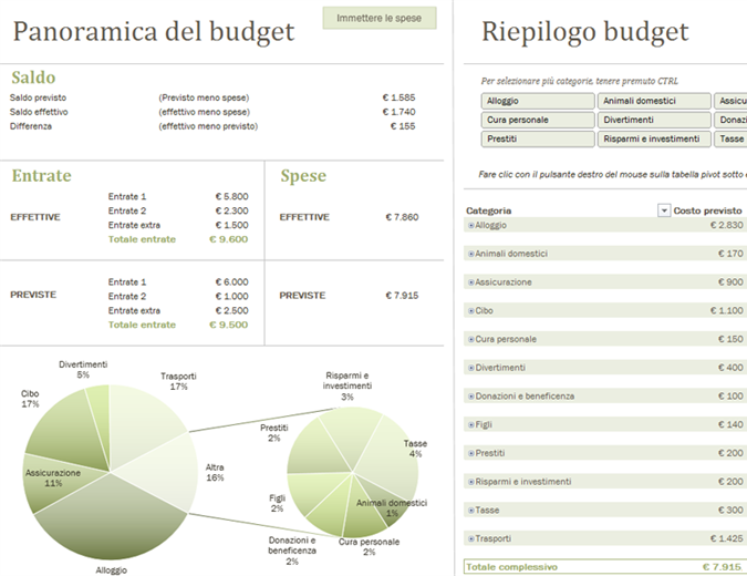 Budget familiare con grafici Budget familiare con grafici