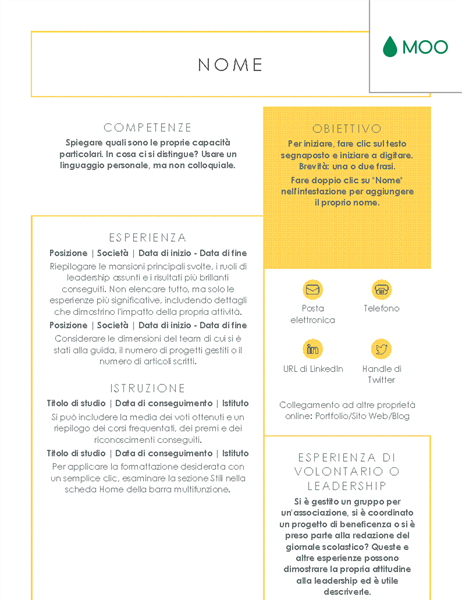 Curriculum conciso e immediato, progettato da MOO Curriculum conciso e immediato, progettato da MOO