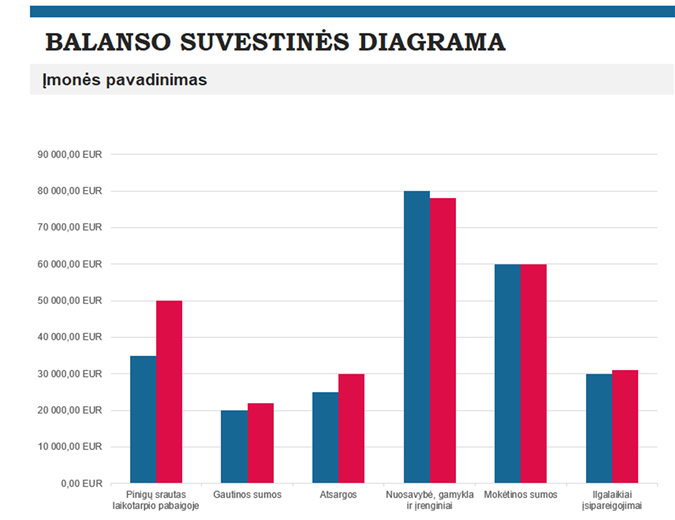 Biudžeto suvestinės ataskaita Biudžeto suvestinės ataskaita