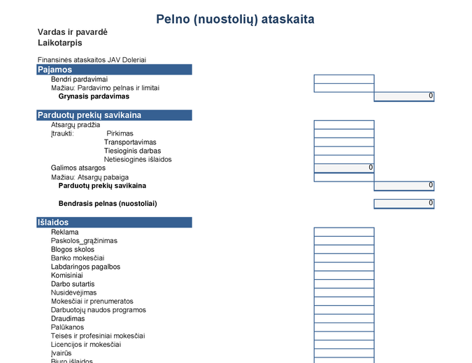 Pajamų ataskaita, 1 metų Pajamų ataskaita, 1 metų
