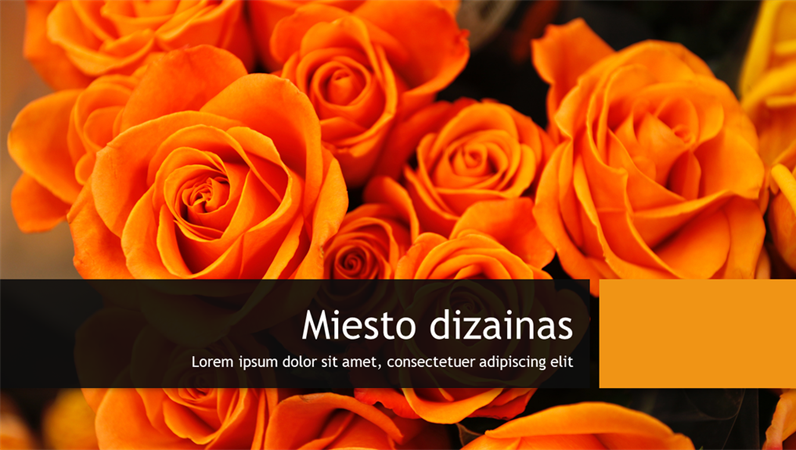Berlyno miesto dizainas Berlyno miesto dizainas