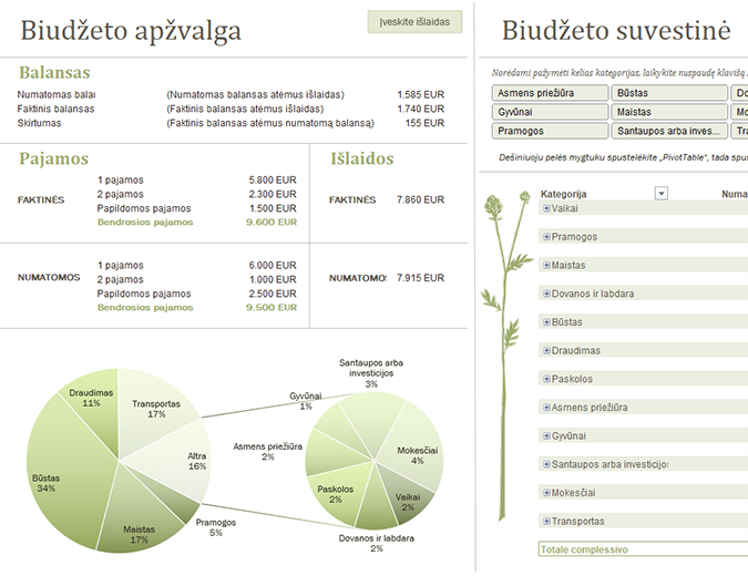 Šeimos biudžetas (mėnesio) Šeimos biudžetas (mėnesio)
