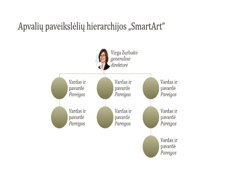 Organizacijos schema su nuotraukų ratu (plačiaekranis) Organizacijos schema su nuotraukų ratu (plačiaekranis)