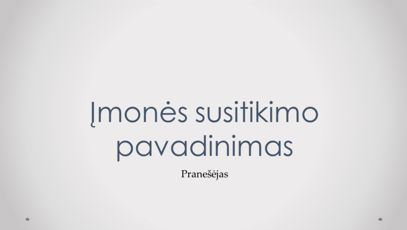 Įmonės susirinkimo pateiktis Įmonės susirinkimo pateiktis