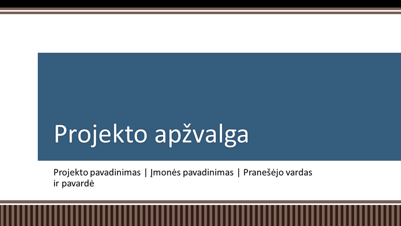 Verslo projekto planavimo pateiktis Verslo projekto planavimo pateiktis