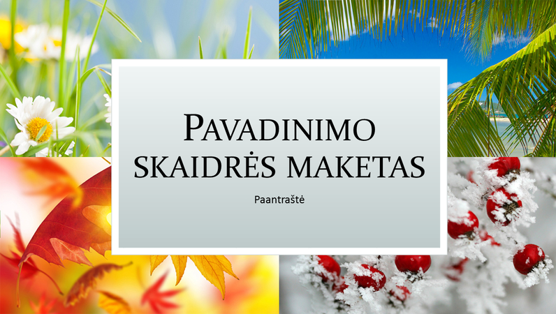 Sezoninių švenčių pateiktis Sezoninių švenčių pateiktis