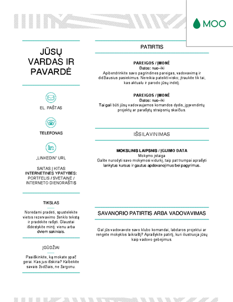 Kūrybiškas gyvenimo aprašymas, sukurtas MOO Kūrybiškas gyvenimo aprašymas, sukurtas MOO