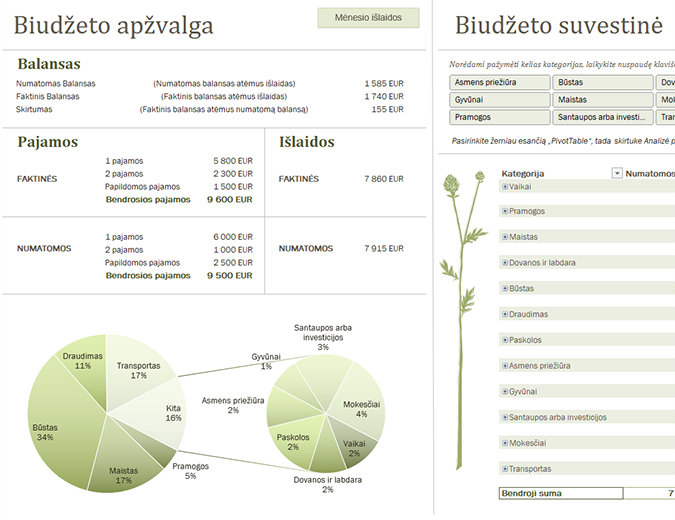 Šeimos biudžetas (mėnesio) Šeimos biudžetas (mėnesio)