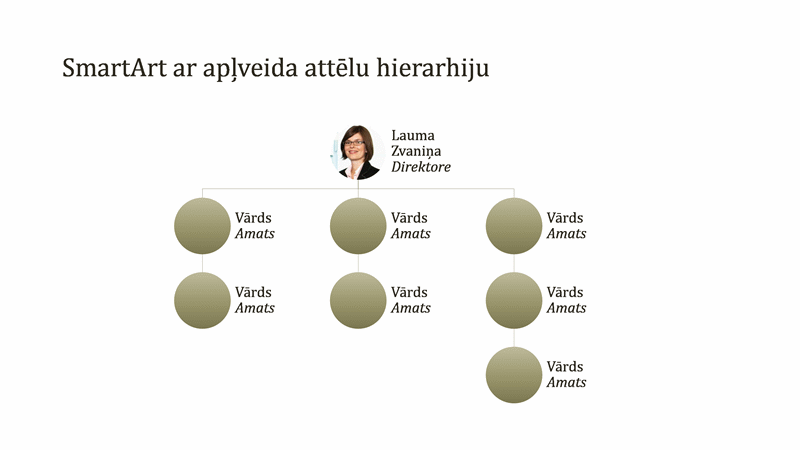 Organizācijas diagramma ar apļa attēlu (platekrāna) Organizācijas diagramma ar apļa attēlu (platekrāna)