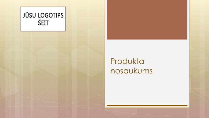 Prezentācija par uzņēmējdarbības produkta pārskatu