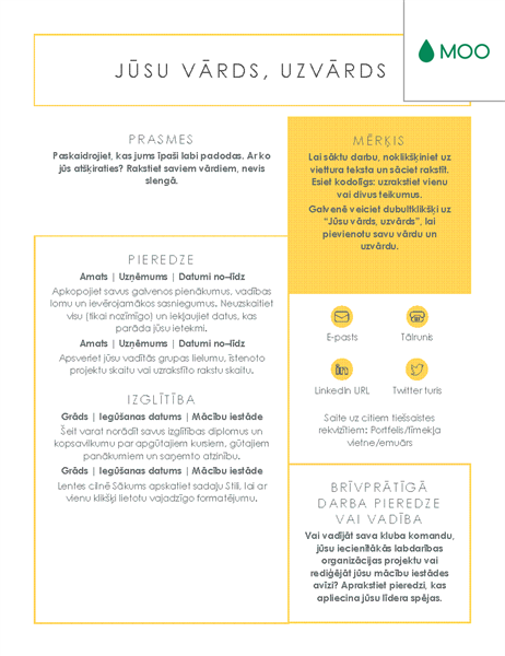 Izteiksmīgs un pārskatāms CV, ko veidoja MOO Izteiksmīgs un pārskatāms CV, ko veidoja MOO