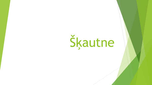 Šķautne Šķautne