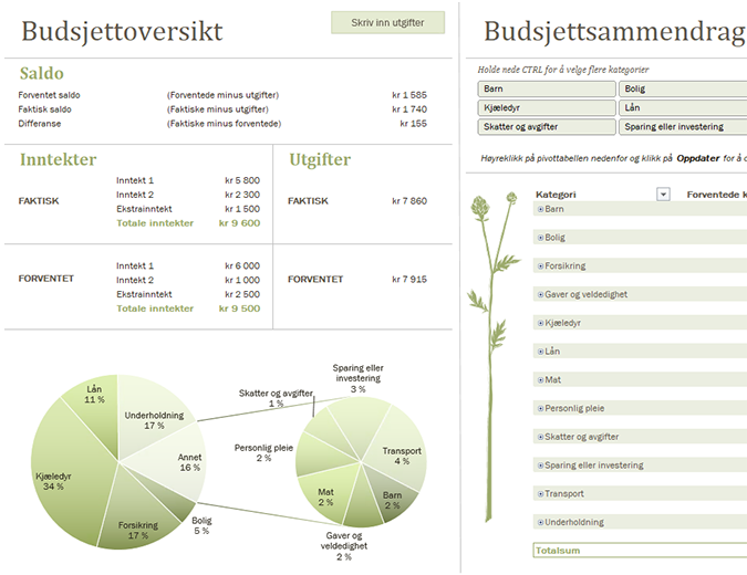 Familiebudsjett (månedlig) Familiebudsjett (månedlig)