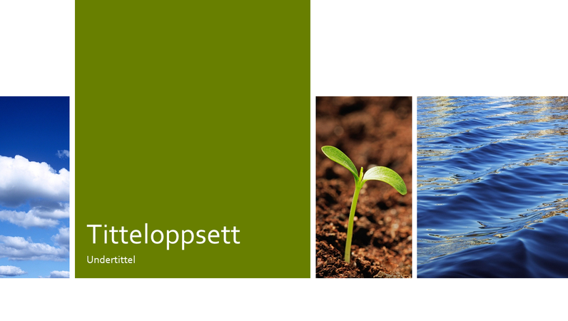 Fotopresentasjon for utdannelse innen natur og økologi Fotopresentasjon for utdannelse innen natur og økologi