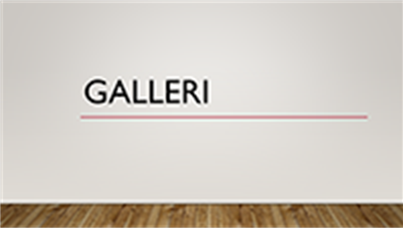 Galleri Galleri