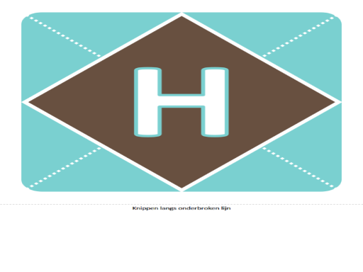 Hoera een jongetje-banner Hoera een jongetje-banner