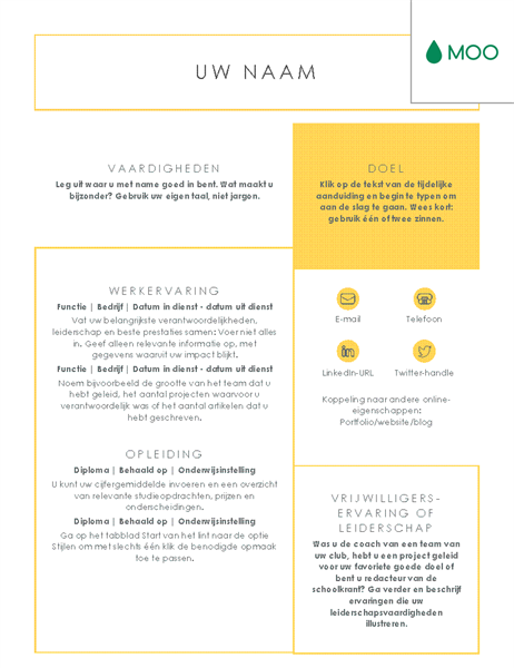 Strak en zakelijk resumé, ontworpen door MOO Strak en zakelijk resumé, ontworpen door MOO