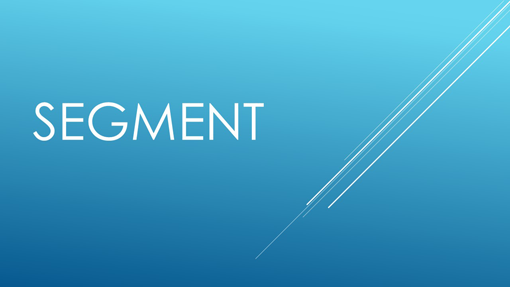 Segment