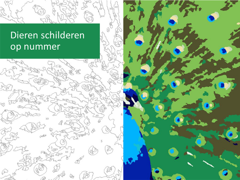 Dieren schilderen op nummer Dieren schilderen op nummer