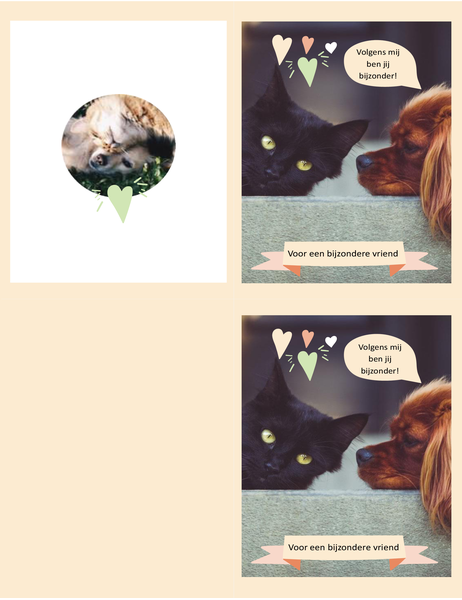 Kaart met kittens en puppy’s voor elke dag Kaart met kittens en puppy’s voor elke dag