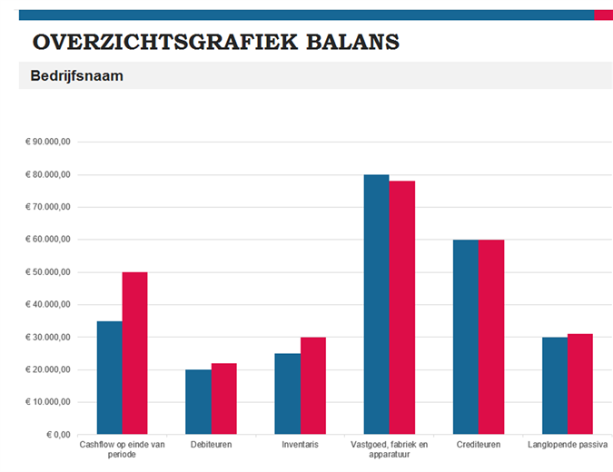 Budgetoverzichtsrapport Budgetoverzichtsrapport