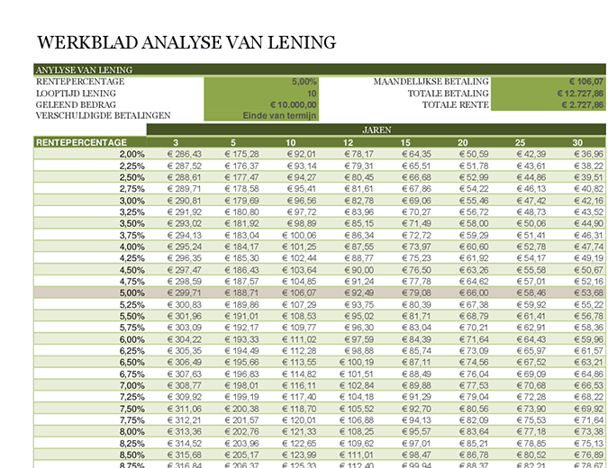 Werkblad analyse van lening Werkblad analyse van lening