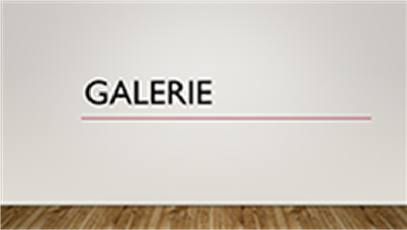 Galerie Galerie