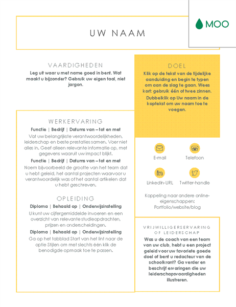 Strak en zakelijk resumé, ontworpen door MOO Strak en zakelijk resumé, ontworpen door MOO