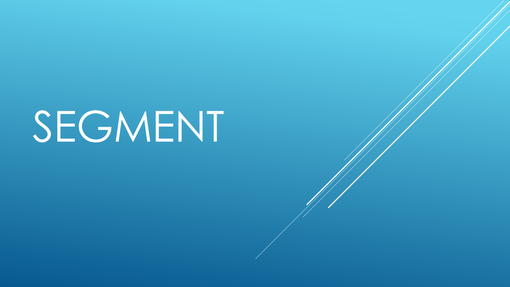 Segment Segment