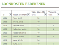 Loonkosten berekenen excel