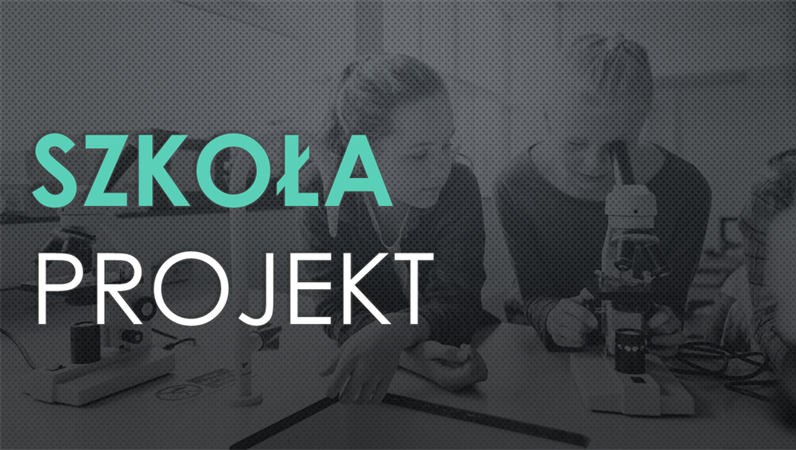 Nauka w szkole — projekt Siatka Nauka w szkole — projekt Siatka