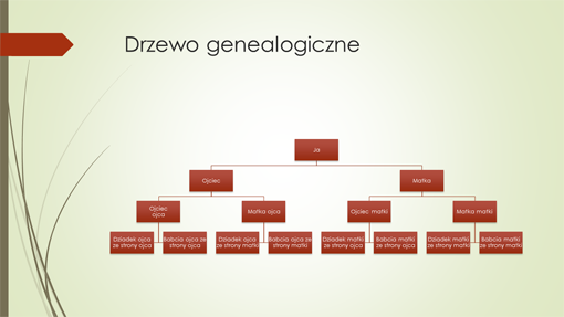 Schemat drzewa genealogicznego (pionowy, zielony, czerwony, panoramiczny) Schemat drzewa genealogicznego (pionowy, zielony, czerwony, panoramiczny)