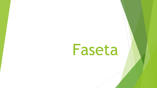 Faseta Faseta