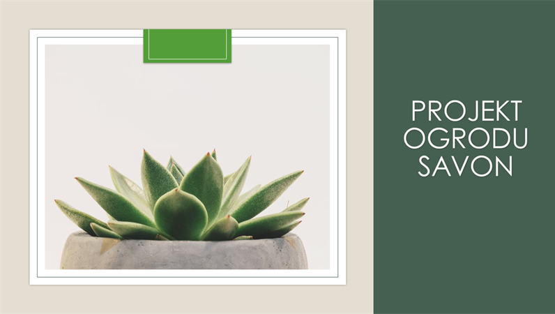 Projekt ogrodu Savon Projekt ogrodu Savon