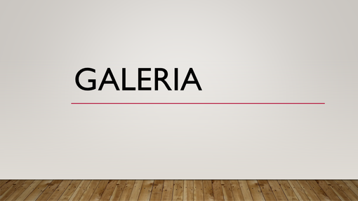 Galeria Galeria