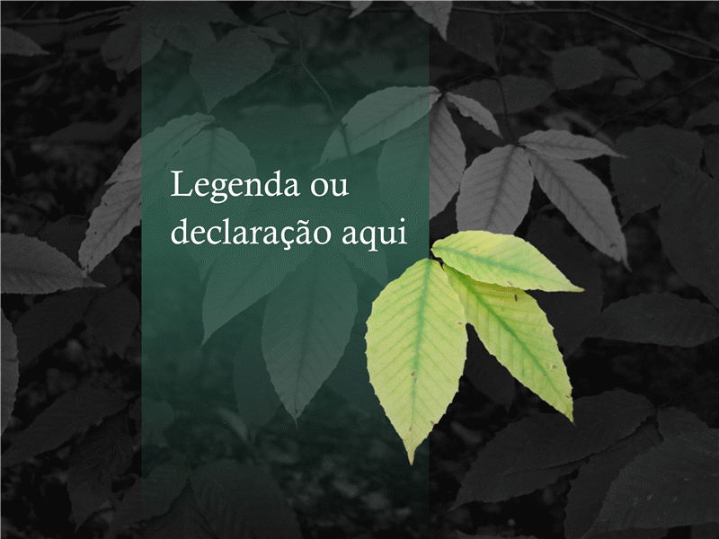 Imagem com plano de fundo removido Imagem com plano de fundo removido