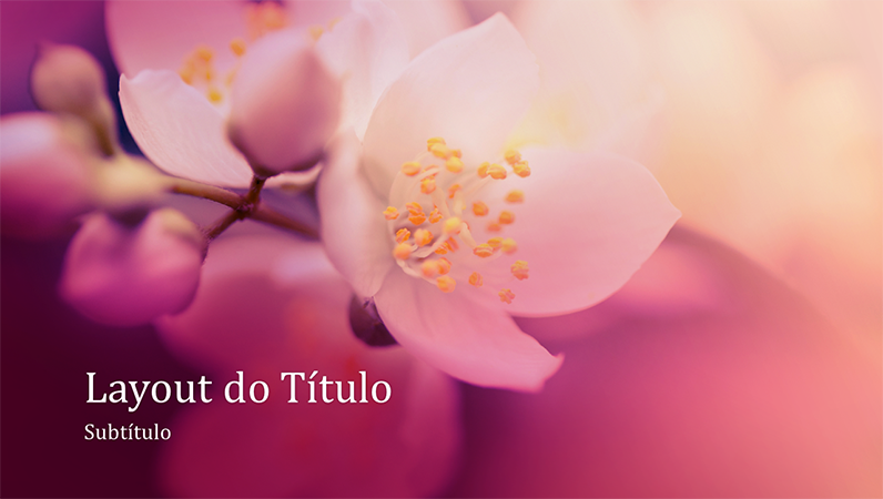 Apresentação de natureza com flores de cerejeira (widescreen) Apresentação de natureza com flores de cerejeira (widescreen)