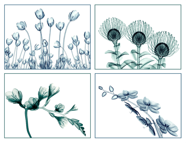 Cartões florais de mensagens (10 cartões, 2 por página) Cartões florais de mensagens (10 cartões, 2 por página)