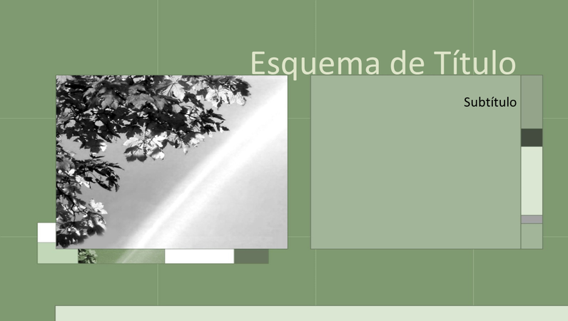 Diapositivos de estrutura a verde-escuro Diapositivos de estrutura a verde-escuro