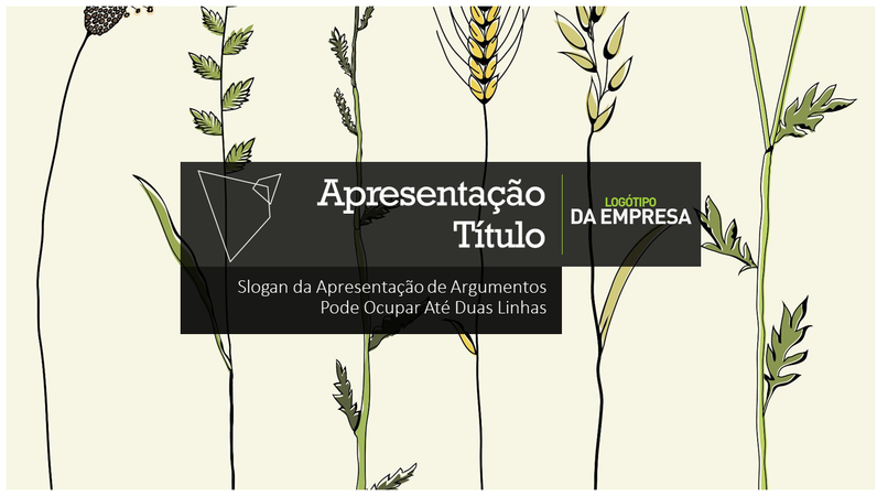 Apresentação de argumentos Apresentação de argumentos