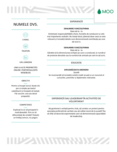 CV creativ, proiectat de MOO CV creativ, proiectat de MOO