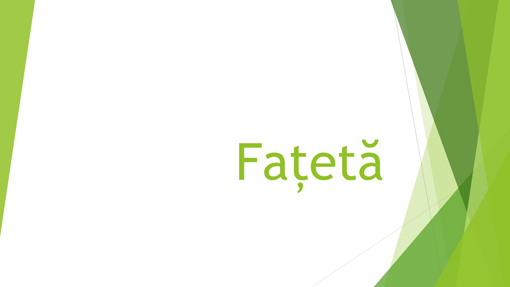 Fațetă