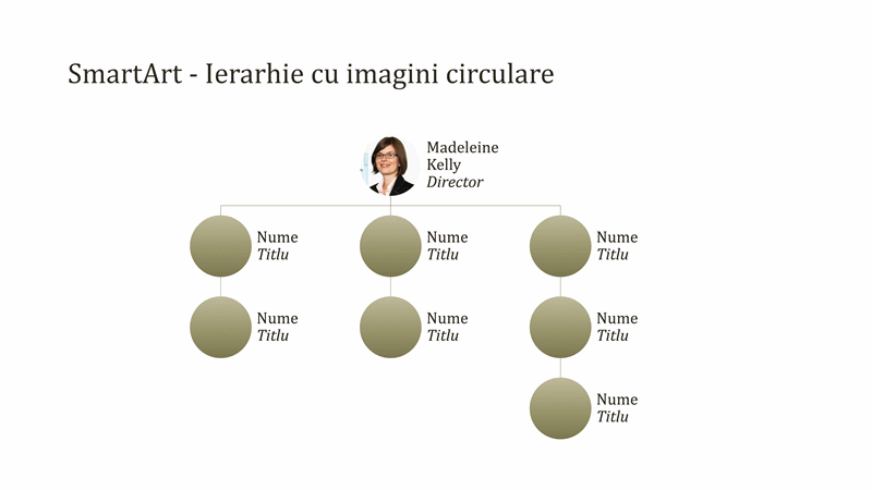 Organigramă cu imagini în cerc (ecran lat) Organigramă cu imagini în cerc (ecran lat)