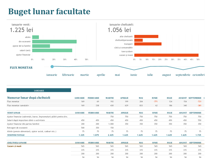 Buget lunar facultate Buget lunar facultate