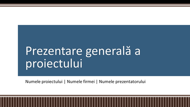 Prezentare generală legată de planificarea proiectelor firmei Prezentare generală legată de planificarea proiectelor firmei