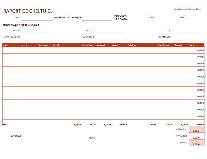 Raport cheltuieli