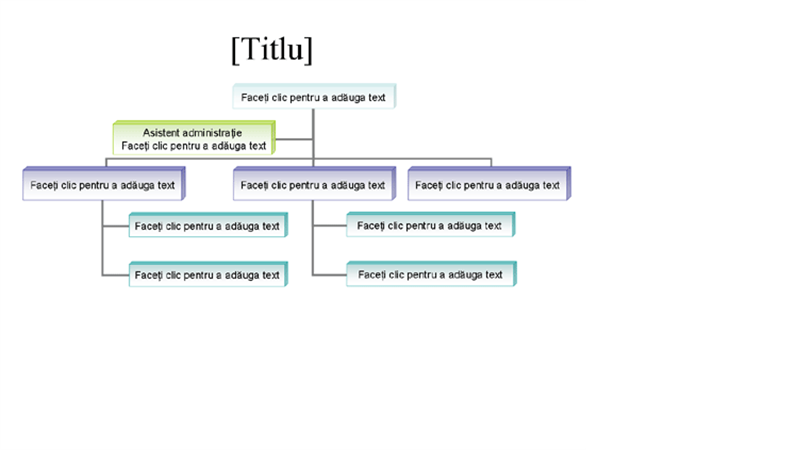 Organigramă Organigramă