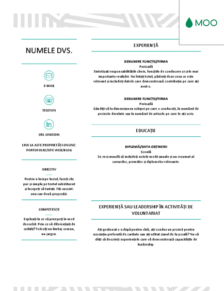 CV creativ, proiectat de MOO CV creativ, proiectat de MOO